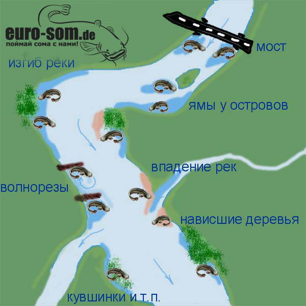 рыбалка на сома летом на реке рыбалка на сома летом на реке